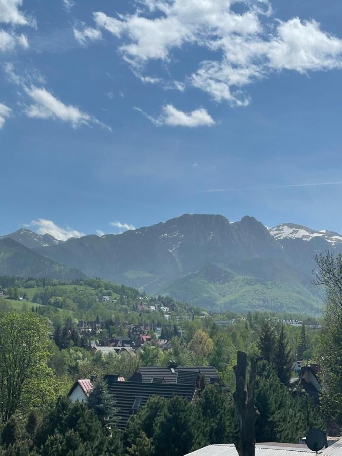 Apartamenty Z Widokiem Zakopane Kültér fotó
