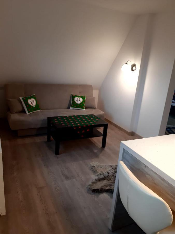 Apartamenty Z Widokiem Zakopane Kültér fotó