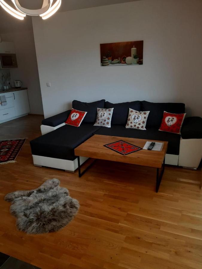 Apartamenty Z Widokiem Zakopane Kültér fotó