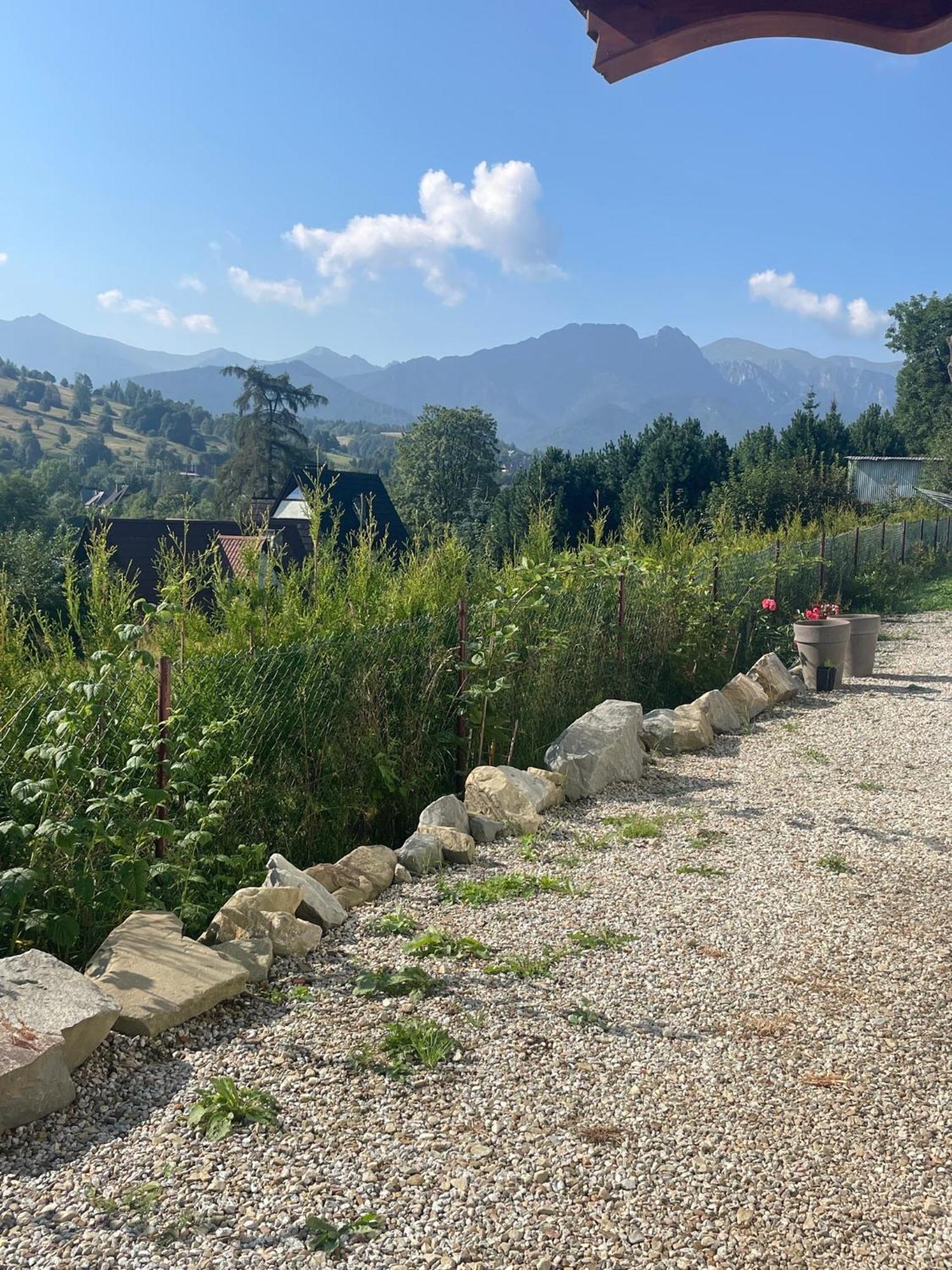 Apartamenty Z Widokiem Zakopane Kültér fotó